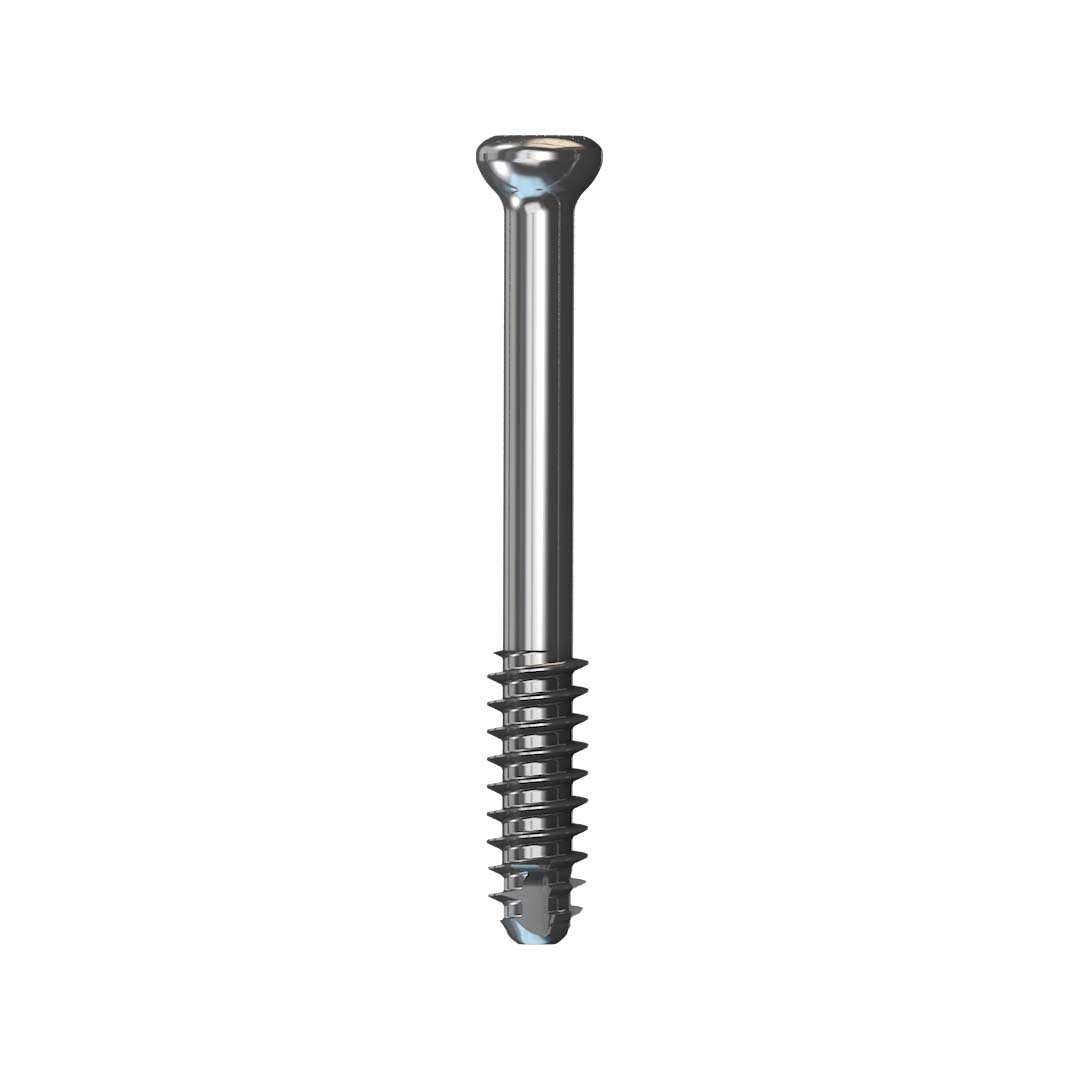 Screw Systems Paragon 28