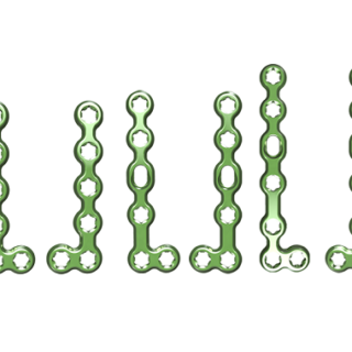 baby gorilla straight