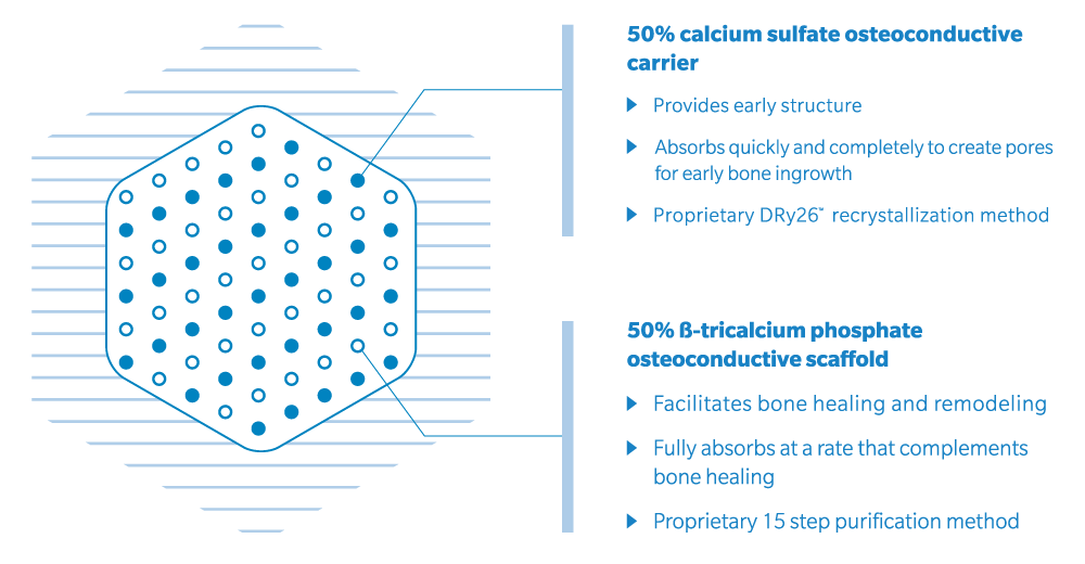 https://paragon28.com/app/uploads/2025/06/hex-diagram-f2.png