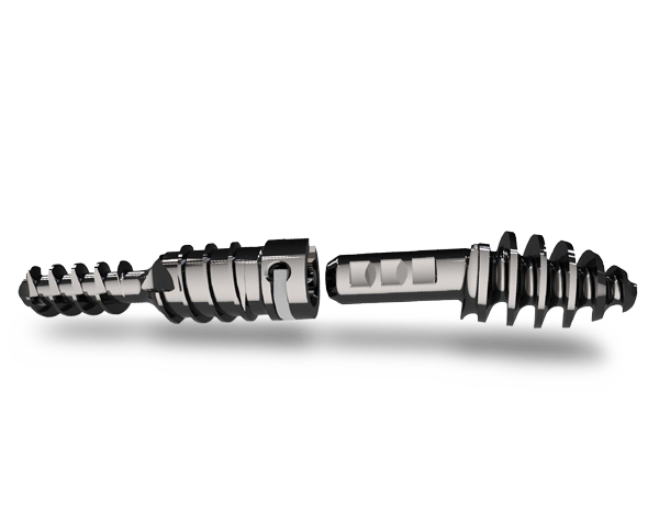 https://paragon28.com/app/uploads/2025/08/nextra6-e1756493026547.png