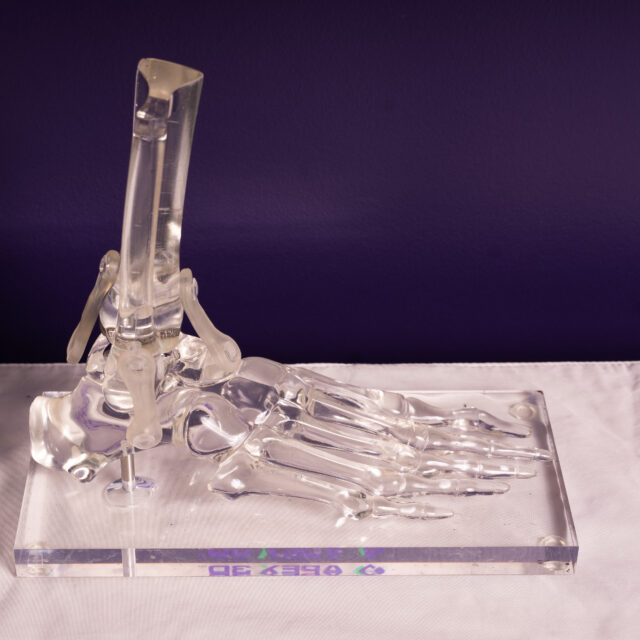 AAPEX-3