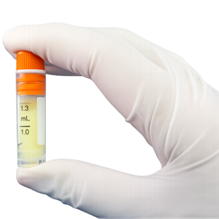 https://paragon28.com/app/uploads/2026/06/biocushion-thumb-320x320.png