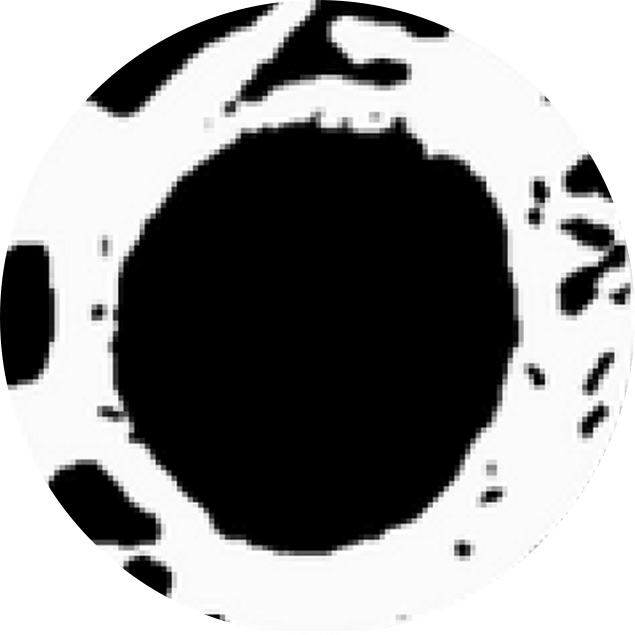 fpo-left-opt https://paragon28.com/app/uploads/2026/09/fpo-left-opt.png