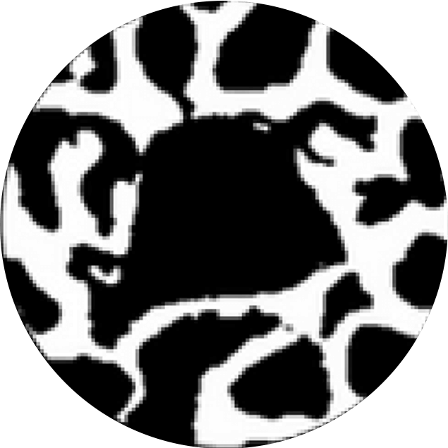 fpo-right-opt https://paragon28.com/app/uploads/2026/09/fpo-right-opt.png