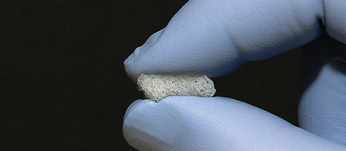 BEAST™ Osteobiologic Sponge (BOB™)