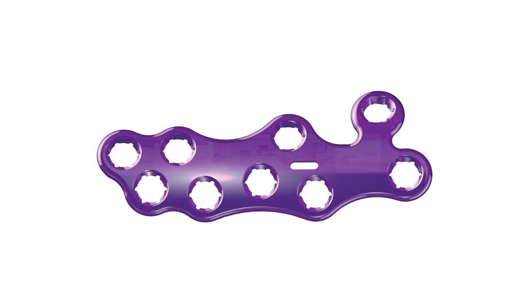 proximal arch
