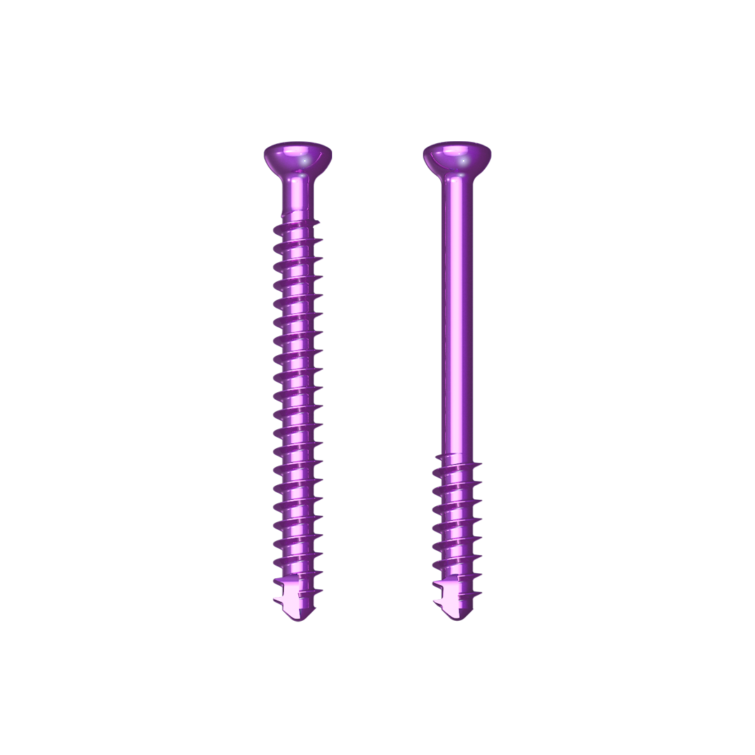 Screw Systems Paragon 28
