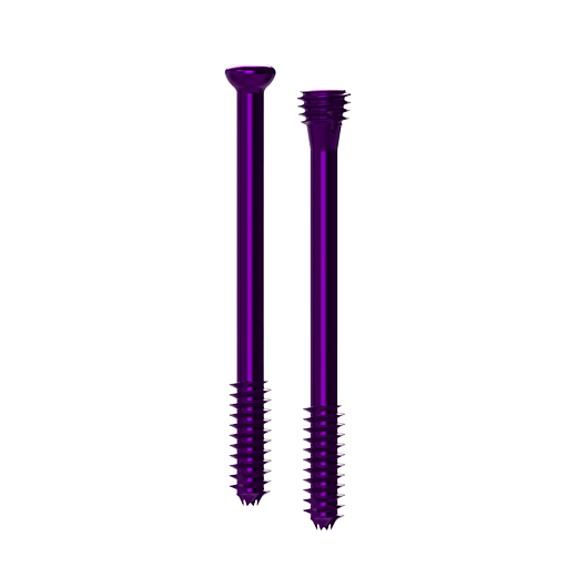 Screw Systems Paragon 28