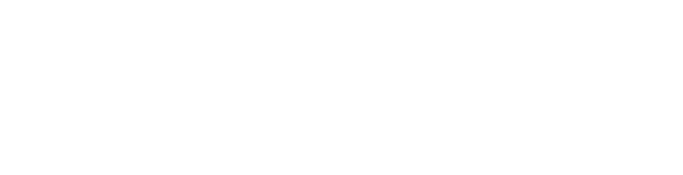 p 28 + Disior logo