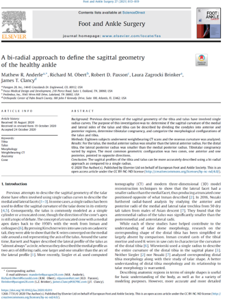 bi-radial approach to define the sagittal geometry of the healthy ankle